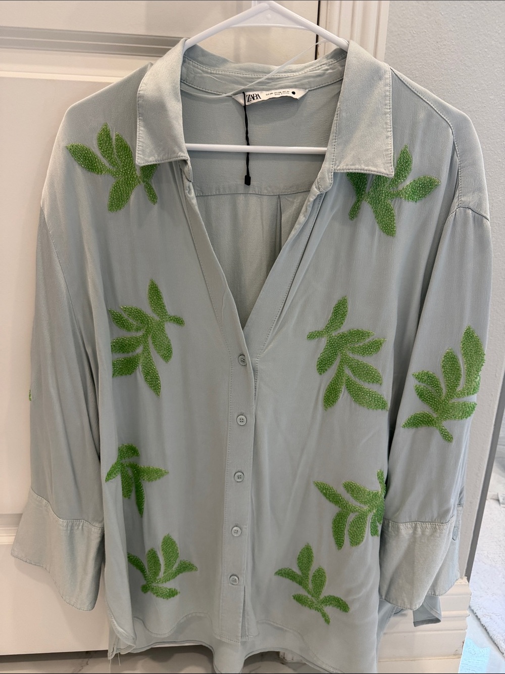 Zara Mint Green Button-Down Shirt with Green Leaf Embroidery and pants